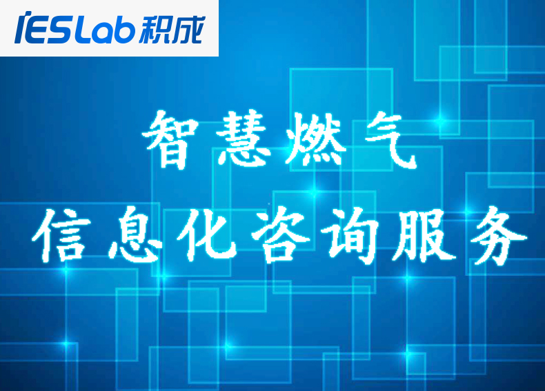 信息化咨詢服務(wù) 信息化咨詢服務(wù)