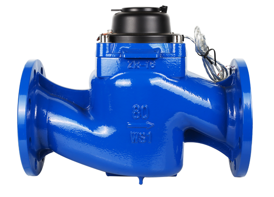 直讀遠(yuǎn)傳大口徑水表-WS型 直讀遠(yuǎn)傳大口徑水表-WS型