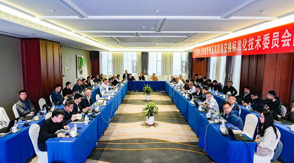 積成電子承辦配網(wǎng)工作組會議01